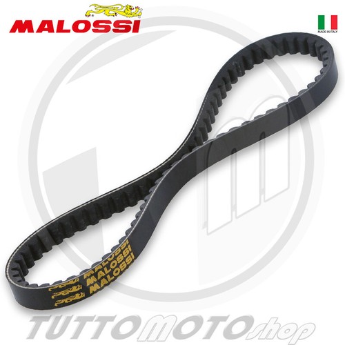 6114127 cinghia malossi - cinghia,