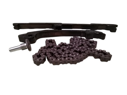 Catena distribuzione pattini - catena,